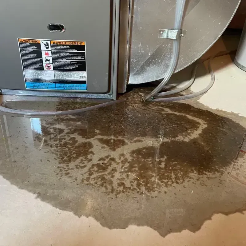 Appliance Leak Cleanup in Fox Chase, PA